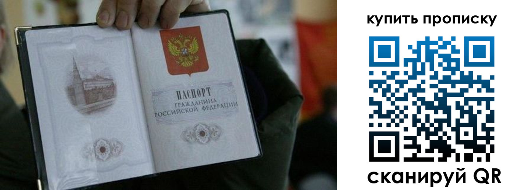 временная регистрация поиск в Мончегорске