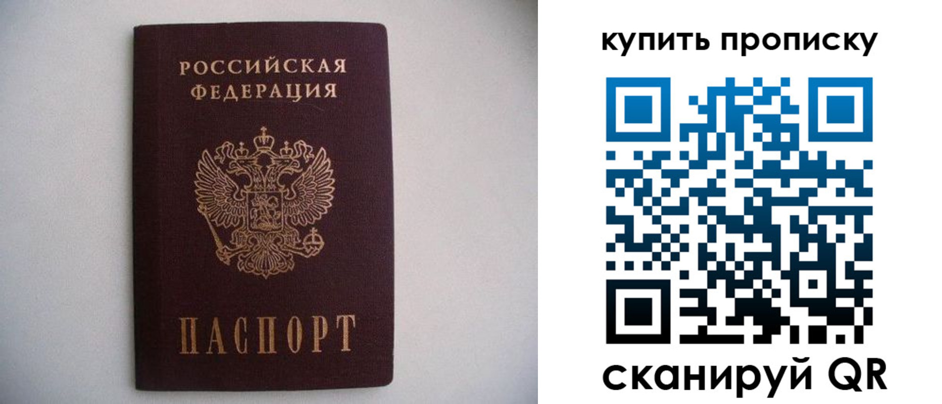прописка ребенка в Мончегорске